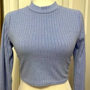 Cute blue cropped fitted longsleeve from Forever 21!